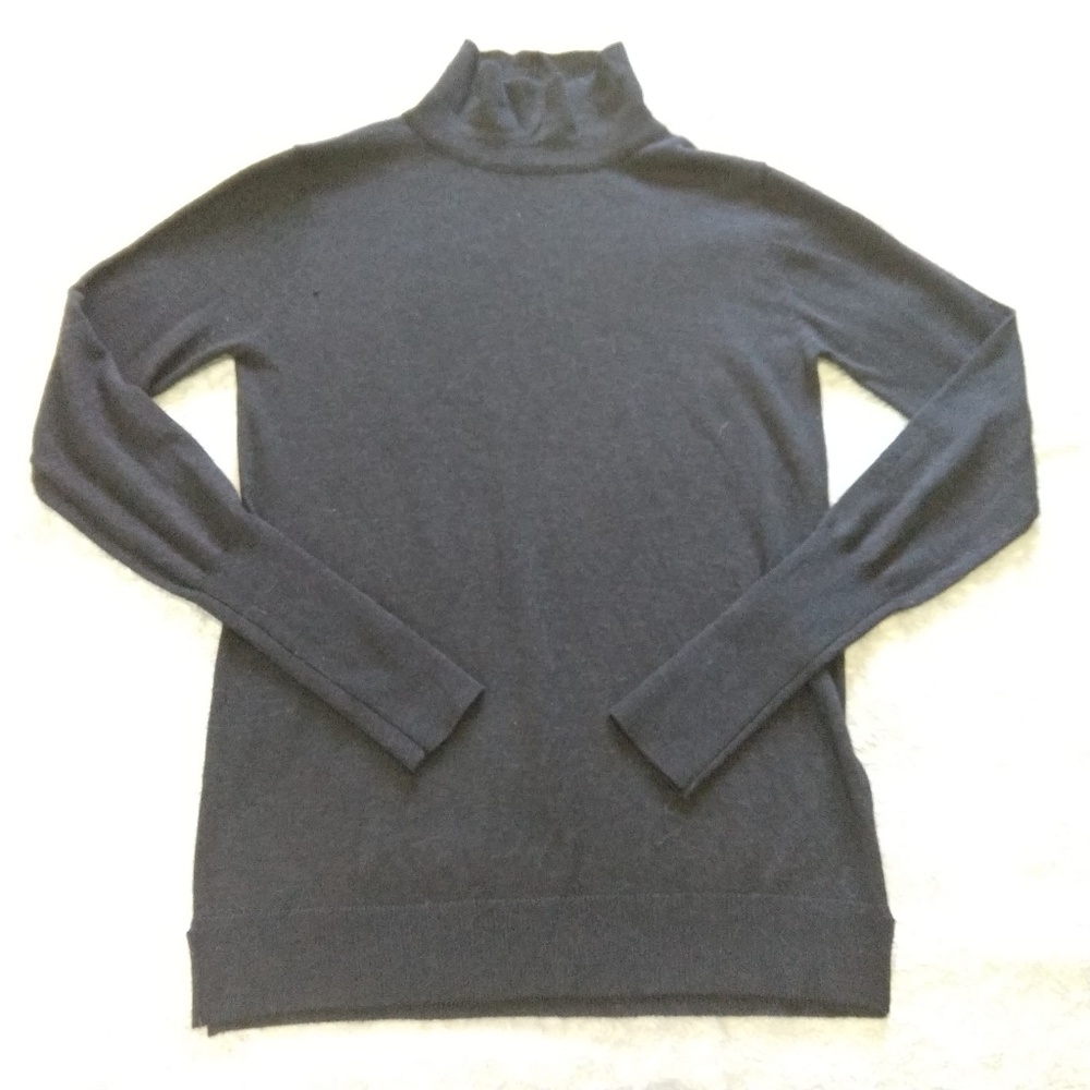 Zara Knit Turtle Neck